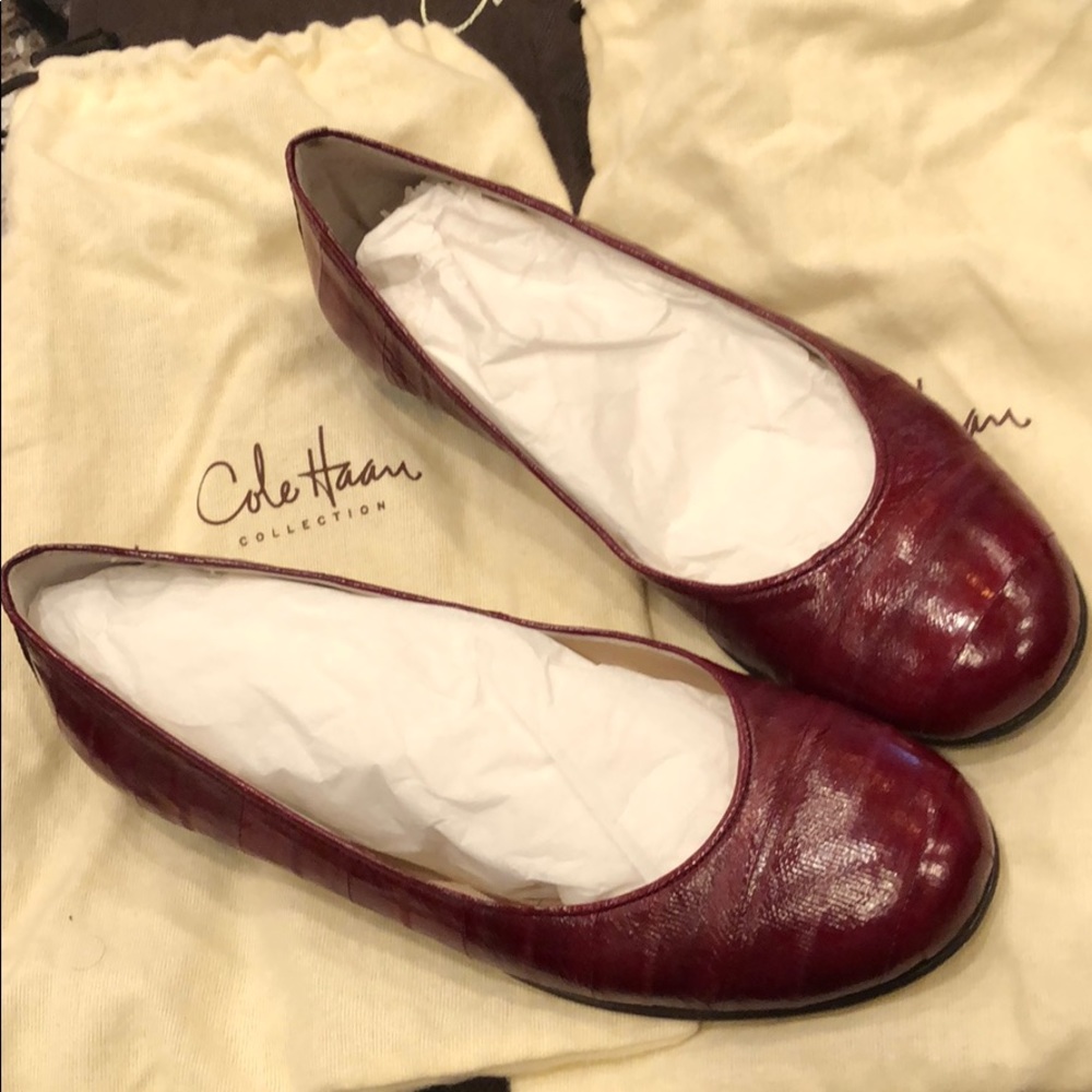 Cole Haan Collection Giovanna Ballet Bordeaux Eel